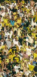 [yalla beitar]