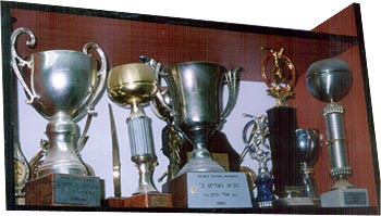 [Some of the trophies on the youth dept's
shelves]